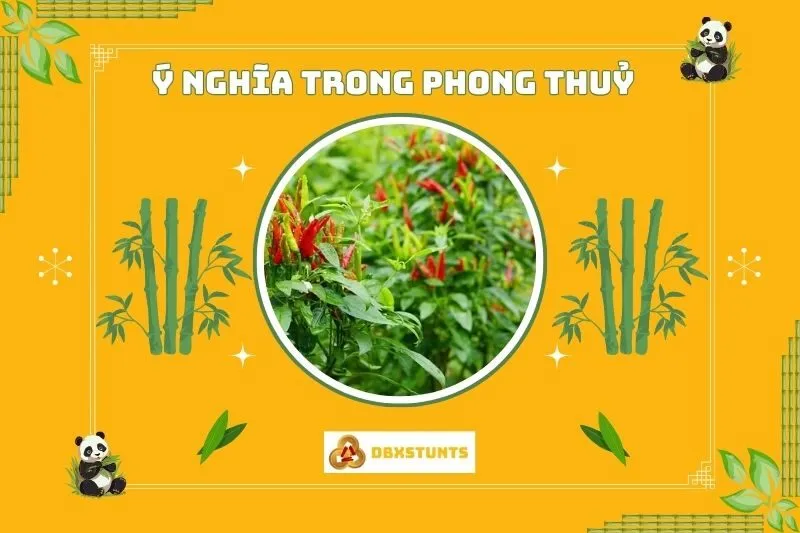 Ý nghĩa của cây ớt phong thủy trong đời sống