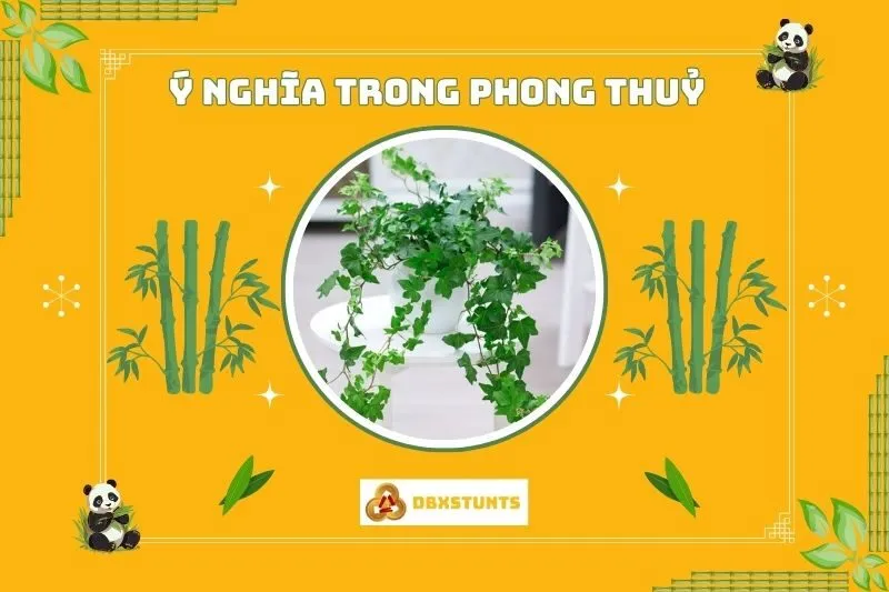 Ý nghĩa phong thủy của cây thường xuân
