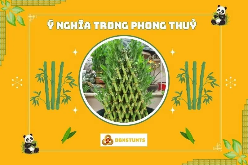 Ý nghĩa của cây tre phong thủy trong đời sống