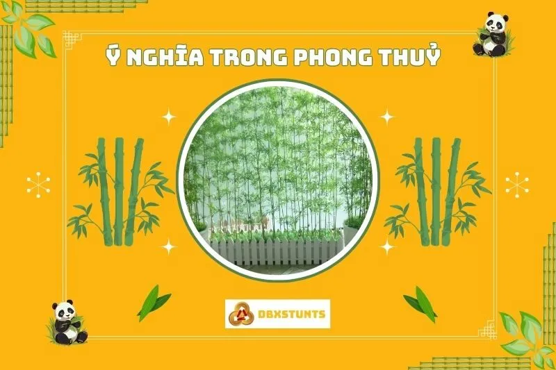 Ý nghĩa của cây trúc quân tử trong phong thủy