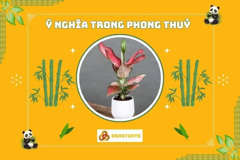 Ý nghĩa phong thủy của cây vạn lộc