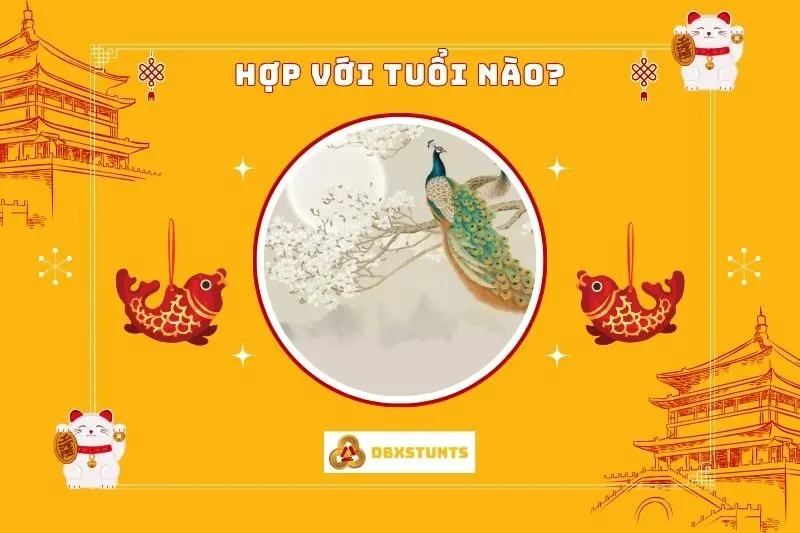 Tranh Chim Công Phong Thủy Hợp Với Tuổi Nào, Mệnh Nào?
