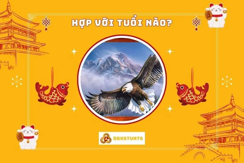 Tranh Đại Bàng Tung Cánh Hợp Với Tuổi và Mệnh Nào?